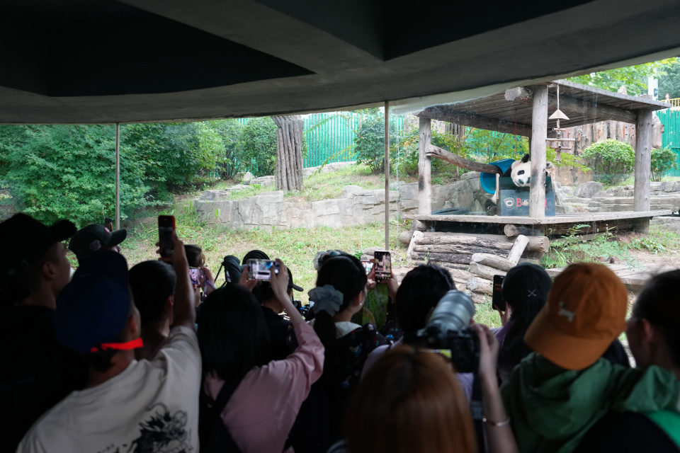 教练员, bt 教练员, bt