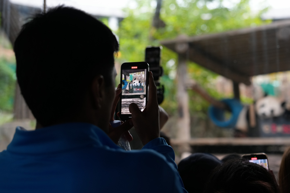 物园选购大, 格拉纳达大, img 物园选购大, 格拉纳达大, img