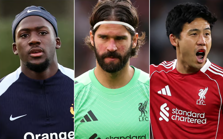 inews, 标准晚报, lh inews, 标准晚报, lh